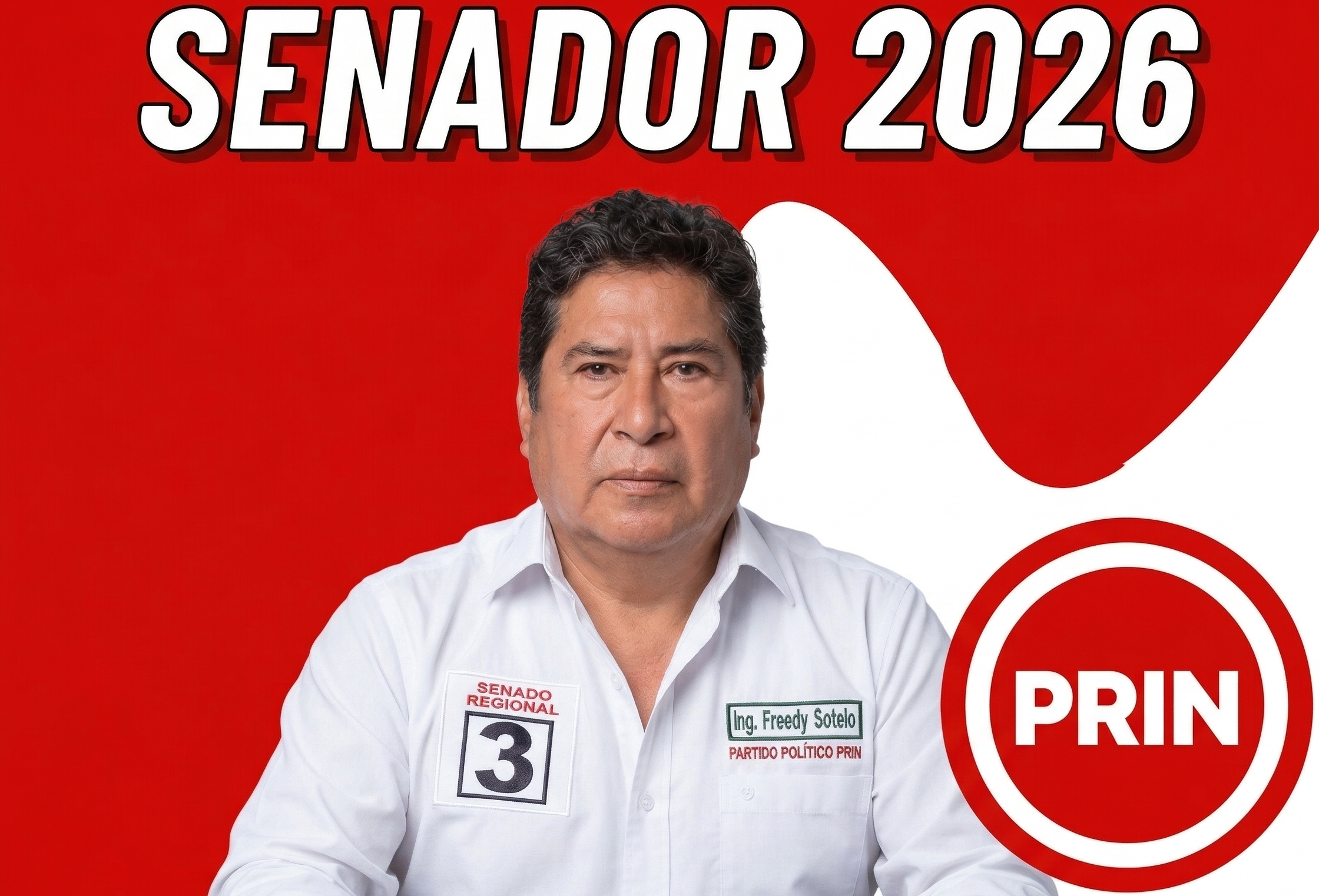 Propuestas Legislativas | Freedy Sotelo · Senado Lima N°3